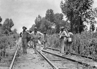Historic photograph of incarcerated laborers near a Florida railroad